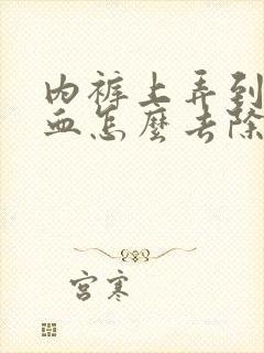 内裤上弄到姨妈血怎么去除