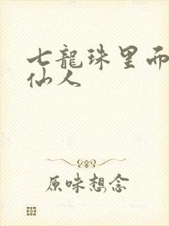 七龙珠里面的龟仙人