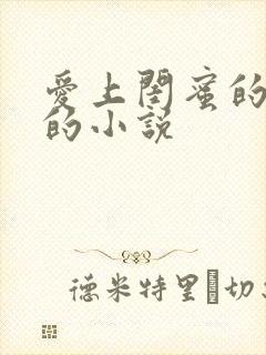 爱上闺蜜的哥哥的小说封面