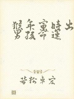 猴年寅时出生的男孩命运