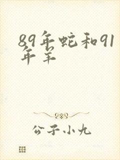 89年蛇和91年羊