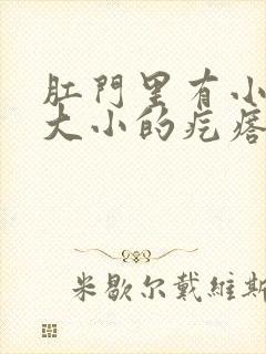 肛门里有小米粒大小的疙瘩