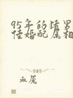 95年的猪男最佳婚配属相