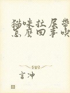 猫咪拉屎带血是怎么回事吃什么药