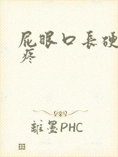 屁眼口长硬疙瘩疼封面