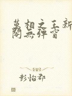 万相之王新笔趣阁无弹窗
