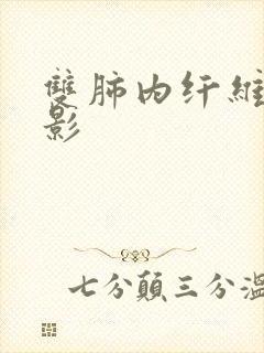 双肺内纤维条索影封面