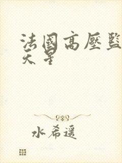 法国高压监狱满天星封面