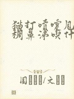 猫打喷嚏甩出浓稠鼻涕吃什么药