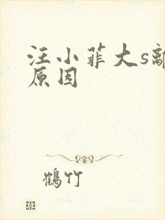 汪小菲大s离婚原因