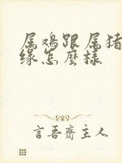 属鸡跟属猪的姻缘怎么样封面