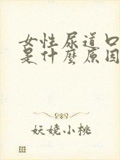 女性尿道口疼痛是什么原因引起的