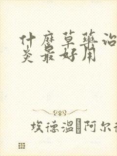 什么草药治鼻窦炎最好用