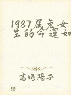 1987属兔女生的命运如何