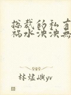 总裁的私有宝贝祸水泱泱无删减