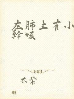 左肺上有小结节干咳