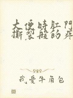 大便时肛门里面撕裂般的疼还有血