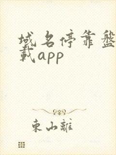 域名停靠盘他下载app