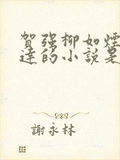 贺强柳如烟季博达的小说是什么