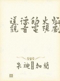 道德的火焰免费观看电视剧全集