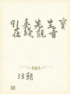 91秦先生宝儿在线观看