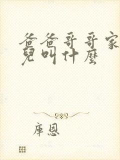 爸爸哥哥家的女儿叫什么封面