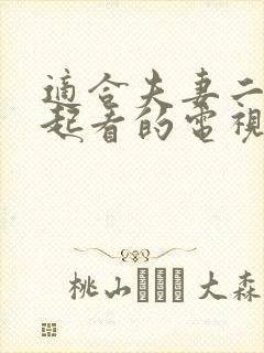 适合夫妻二人一起看的电视剧