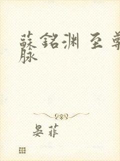 苏铭渊 至尊血脉