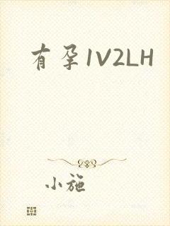 有孕1V2LH