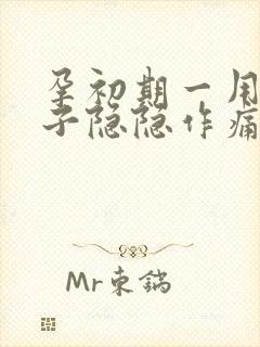 孕初期一用力肚子隐隐作痛封面