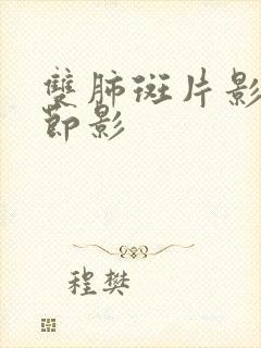 双肺斑片影及结节影封面