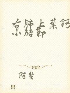 右肺上叶钙化微小结节封面