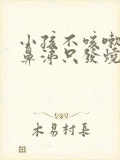 小孩不咳嗽不流鼻涕只发烧怎么回事