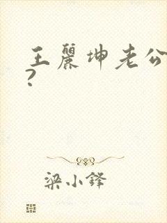 王丽坤老公是谁?