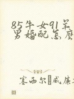 85牛女91羊男婚配怎么样