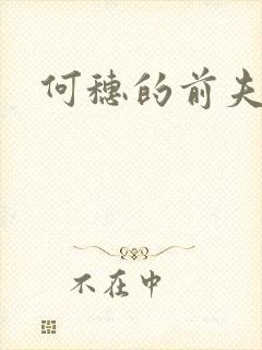何穗的前夫是谁封面