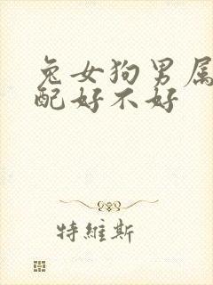 兔女狗男属相婚配好不好