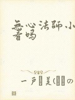 无心法师小说好看吗