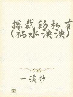 总裁的私有宝贝(祸水泱泱)