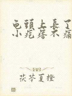 龟头上长了几个小疙瘩不痛不痒