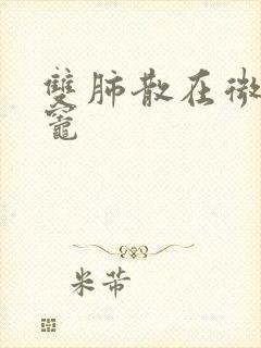 双肺散在微结节灶