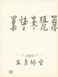 男性生殖器根部长了个疙瘩是怎么回事