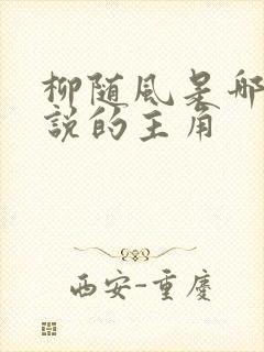 柳随风是哪部小说的主角封面