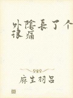 外阴长了个疙瘩很痛