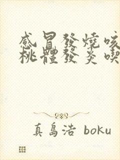 感冒发烧咳嗽扁桃体发炎吃什么药