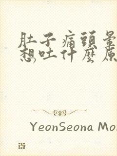 肚子痛头晕恶心想吐什么原因