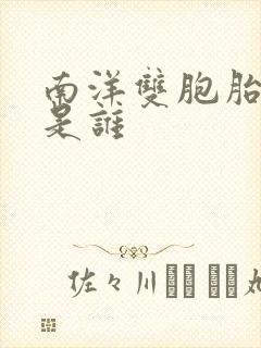 南洋双胞胎姐妹是谁封面