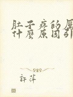 肚子疼的厉害是什么原因引起的