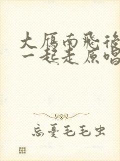 大雁南飞后和我一起走原唱