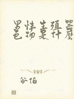 男性生殖器也白色物是什么原因封面